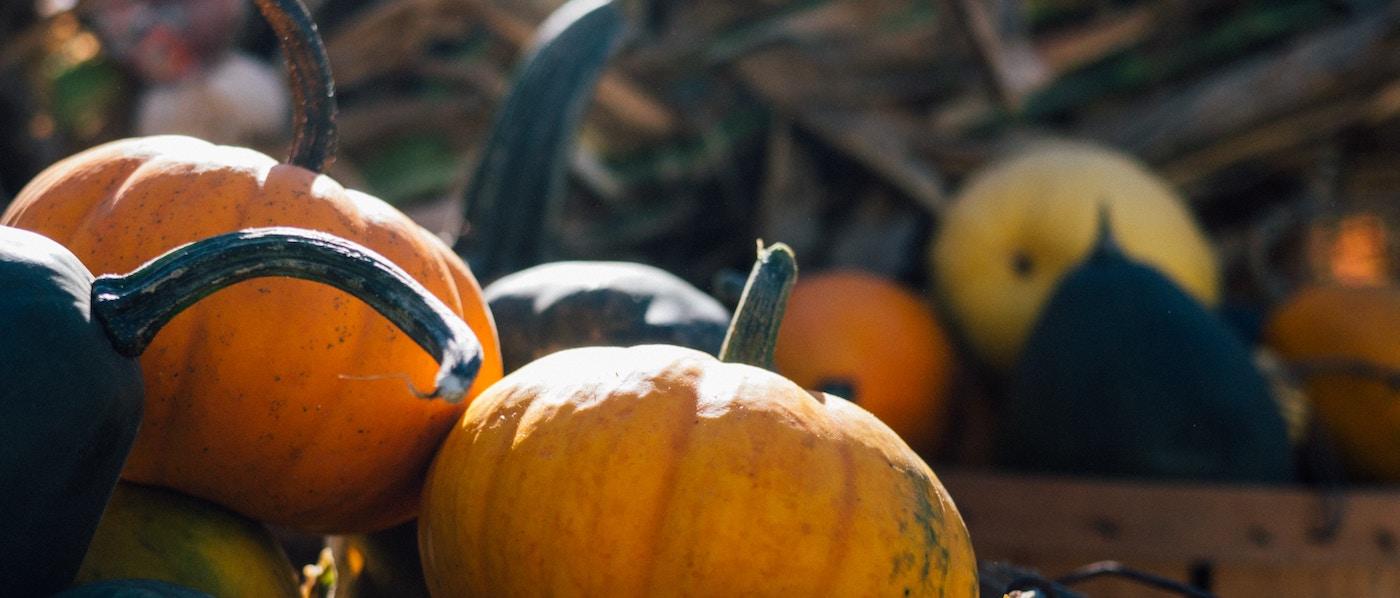 Pumpkins