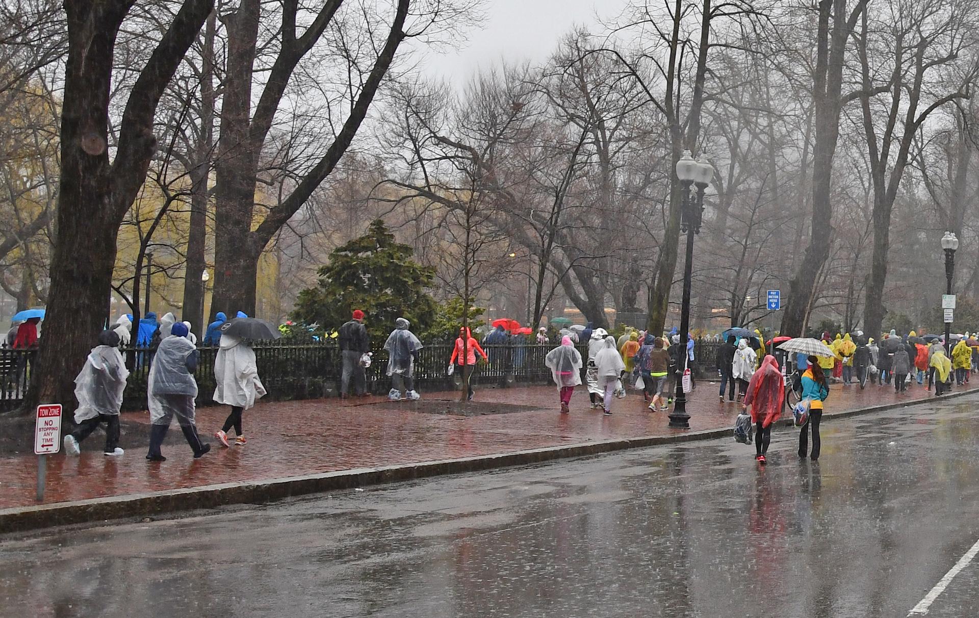 A rainy day, with umbrella-carrying pedestrians walking on the sidwalks flanking the public garden