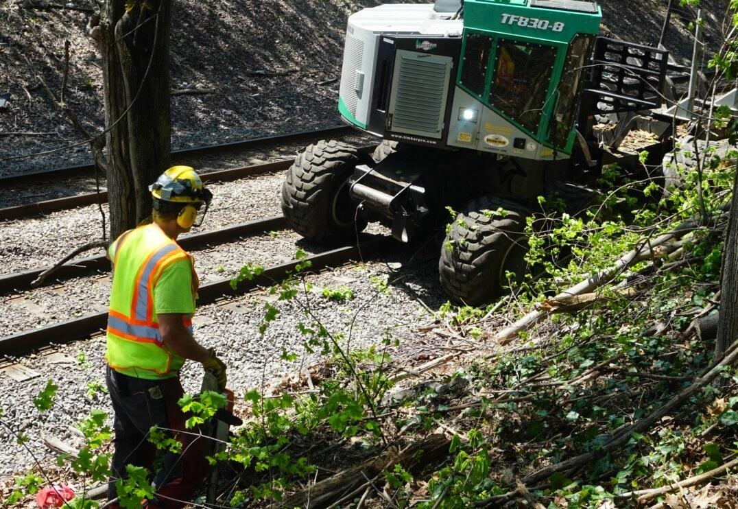 Worked removes overgrown vegetation near the right of way.