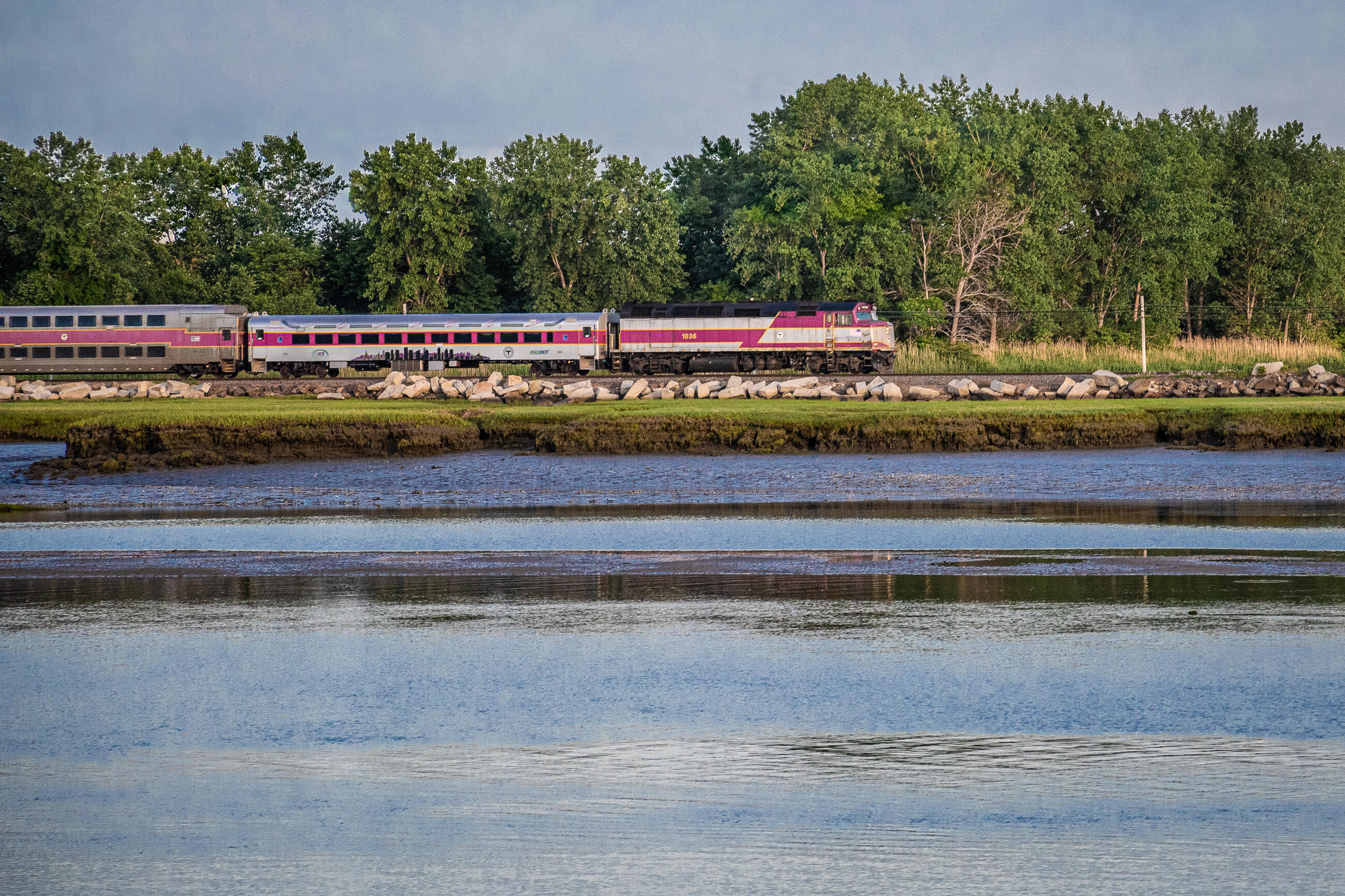 Natural Resource Protection | Sustainability and Resiliency at the MBTA