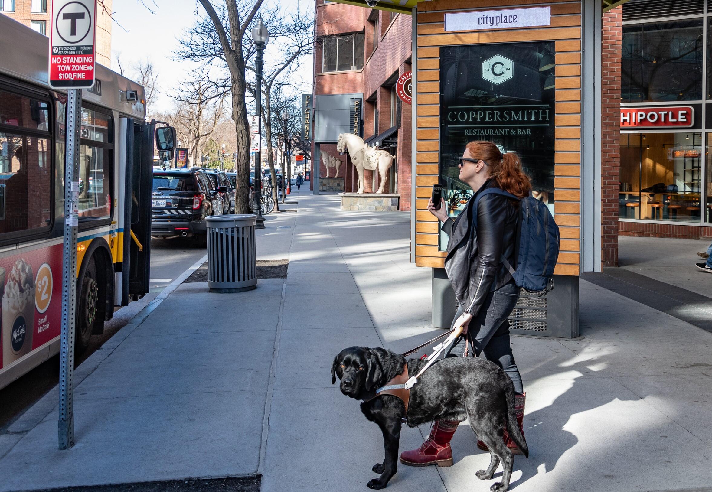 A rider who is visually impaired approaches an MBTA bus stop with a guide dog. The rider aims a mobile phone camera at a bus parked at the bus stop while using the Aira visual interpretation phone app. A trained agent can then describe the rider's surroundings. 