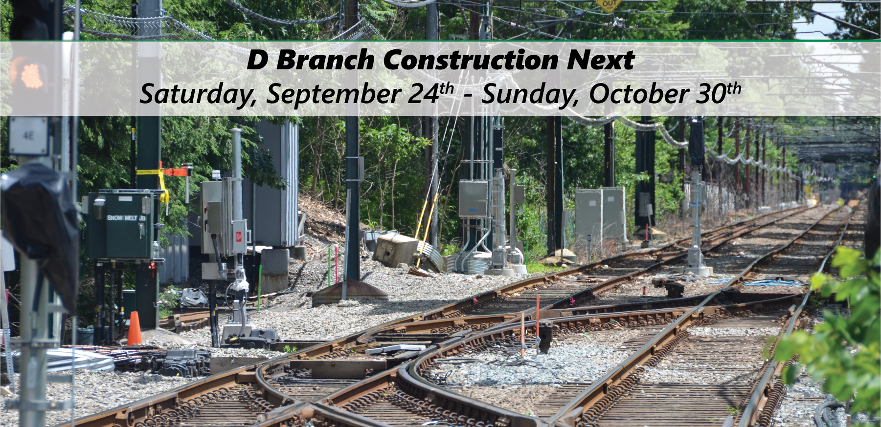 D Branch Construction Is Coming Next