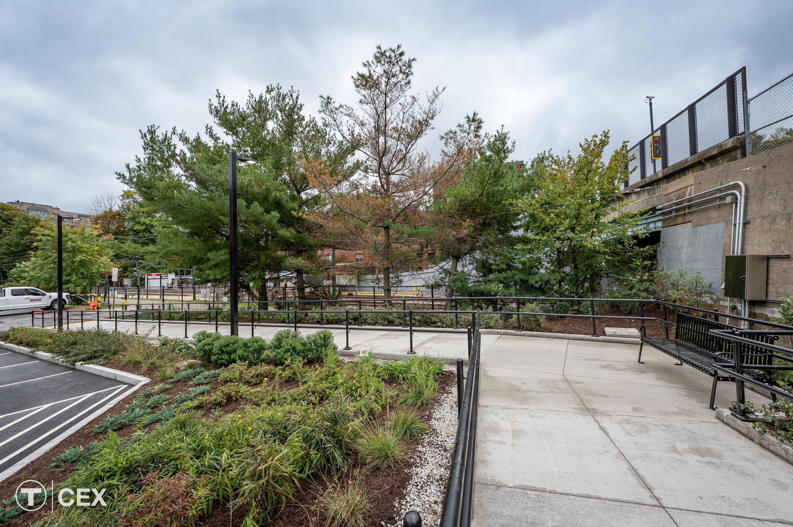 Walkway leading to the left made of cement with small plants around it