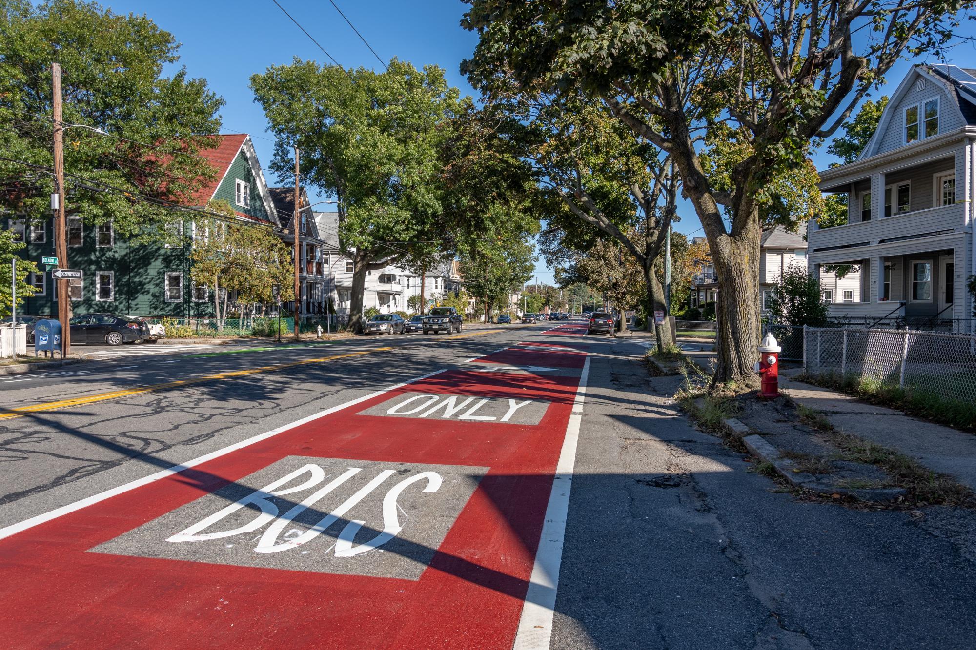 Bus lane on Mt Auburn St in Cambridge and Watertown (November 2018)