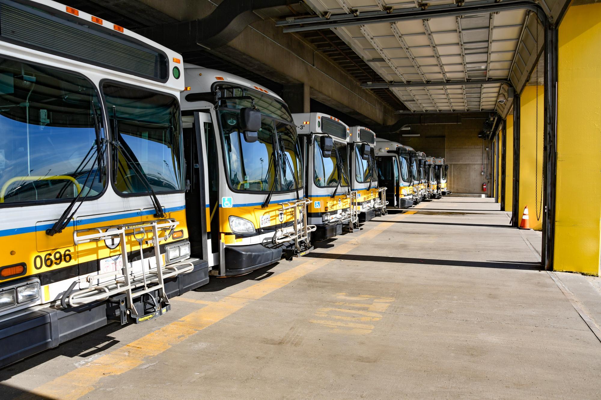 Buses parked in a garage, sunlight streaming in