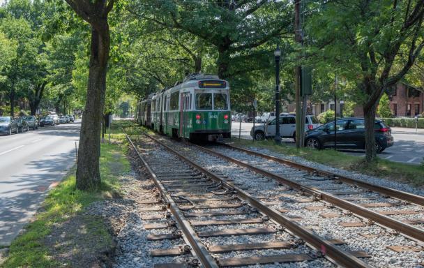 Green Line C train passing under trees in Brookline