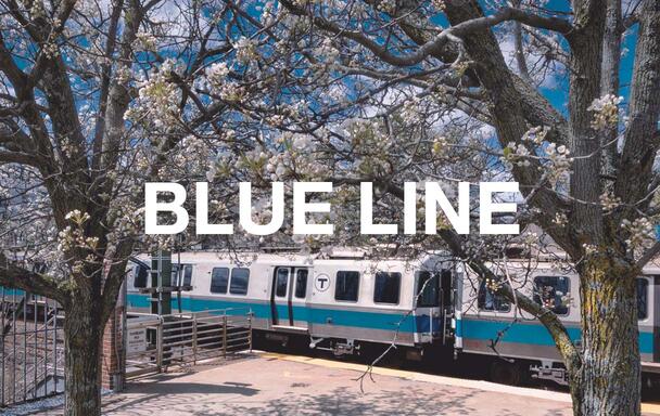 A Blue Line train in the background, with flowering trees in the foreground, during spring. Overlaid text reads "Blue Line."