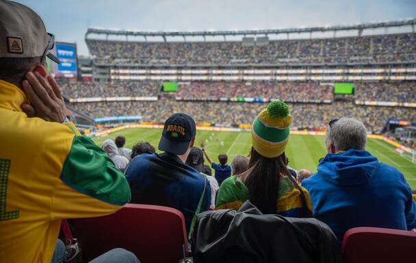 Soccer fans watch Brazil vs France from the stands at Gillette Stadium